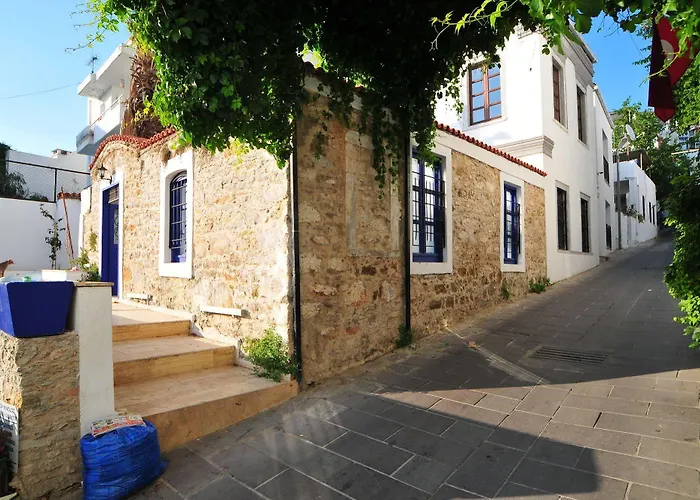 Haspeyma Otel 2* בודרום